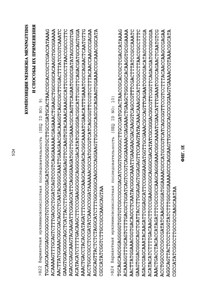 Композиции neisseria meningitidis и способы их применения (патент 2665841)