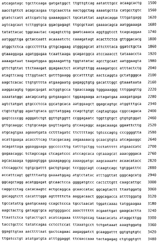 Применение s1p (патент 2362565)