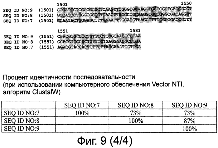 Рекомбинантные вакцины против вируса "синего языка", их применение (патент 2575599)