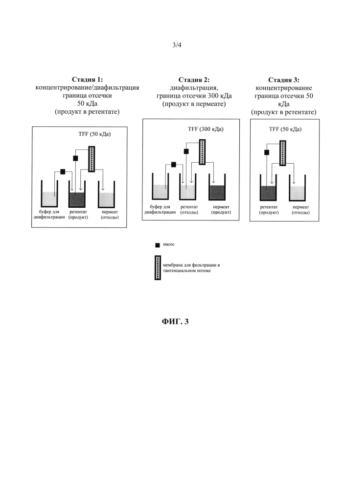 Очистка полипептидов с использованием двухстадийной ультрафильтрации в тангенциальном потоке (патент 2632568)