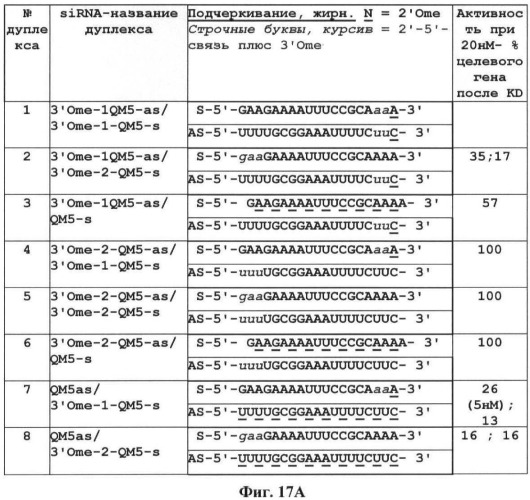 Новые структуры малых интерферирующих рнк (sirna) (патент 2487716)