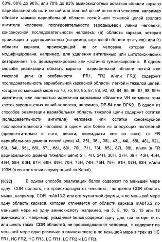 Антитела против интерлейкина-13 человека и их применение (патент 2427589)