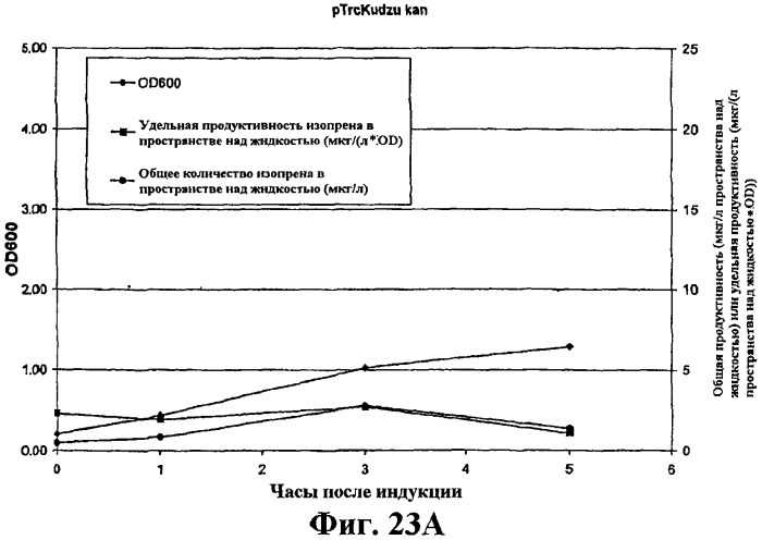 Композиции и способы получения изопрена (патент 2545699)