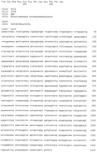 Pscaxcd3, cd19xcd3, c-metxcd3, эндосиалинxcd3, epcamxcd3, igf-1rxcd3 или fap-альфаxcd3 биспецифическое одноцепочечное антитело с межвидовой специфичностью (патент 2547600)