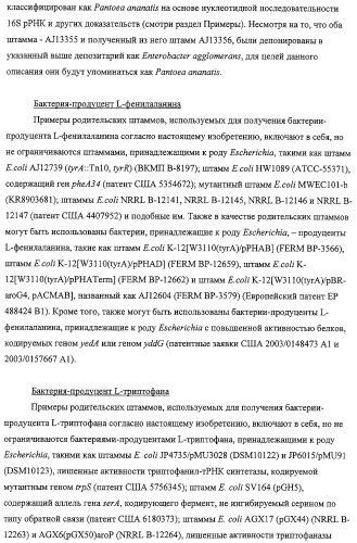 Способ получения l-треонина с использованием бактерии, принадлежащей к роду escherichia, обладающей усиленной экспрессией оперона fucpikur (патент 2318870)