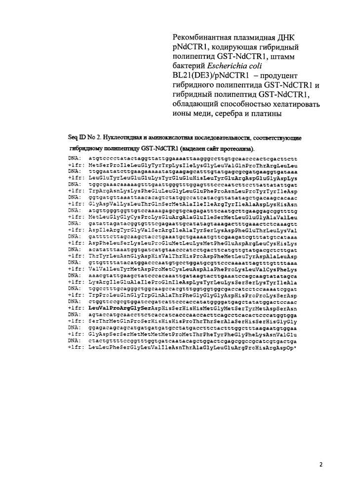 Рекомбинантная плазмидная днк pndctr1, кодирующая гибридный полипептид gst-ndctr1, штамм бактерий escherichia coli bl21(de3)/pndctr1 - продуцент гибридного полипептида gst-ndctr1 и гибридный полипептид gst-ndctr1, обладающий способностью хелатировать ионы меди, серебра и платины (патент 2603092)
