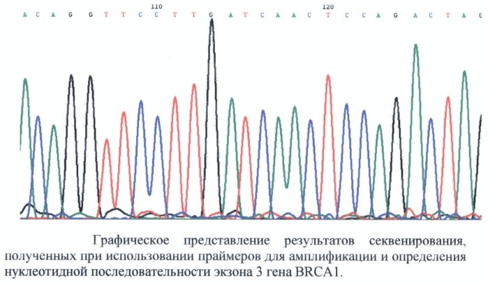 Секвенирование результаты. Результаты секвенирования. Секвенирование график. Программа для секвенирования. Хроматограмма секвенирования.