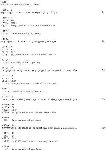 Улучшенная продукция белка в bacillus (патент 2515112)