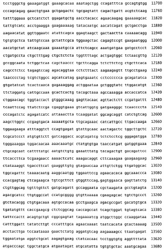 Применение s1p (патент 2362565)