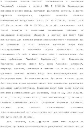Антитела против вируса гепатита с (патент 2462475)