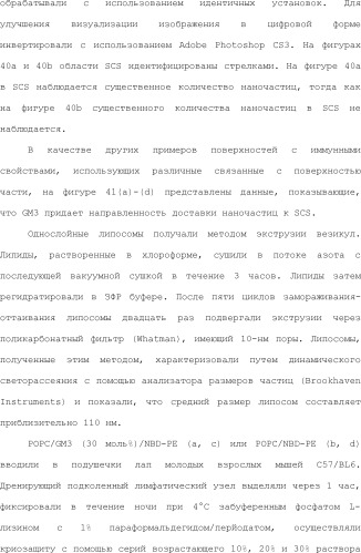 Нацеливание на антигенпрезентирующие клетки иммунонанотерапевтических средств (патент 2497542)