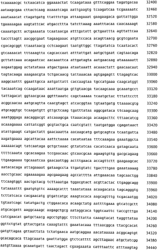 Бактериофаг, обладающий активностью против pseudomonas aeruginosa, белки бактериофага и способы их применения (патент 2580248)