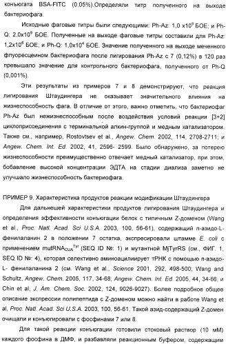 Селективная посттрансляционная модификация экспонируемых фагами полипептидов (патент 2459866)