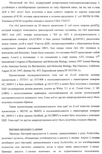 Способ получения l-треонина или l-аргинина с использованием бактерии, принадлежащей к роду escherichia, в которой инактивирован ген chac или оперон chabc (патент 2392327)