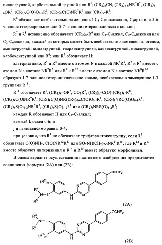 Соединения и композиции 5-(4-(галогеналкокси)фенил)пиримидин-2-амина в качестве ингибиторов киназ (патент 2455288)