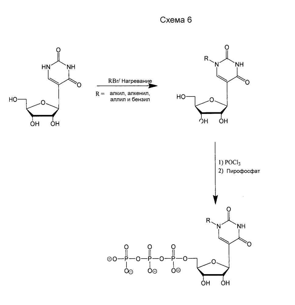 Модифицированные нуклеозиды, нуклеотиды и нуклеиновые кислоты и их применение (патент 2648950)
