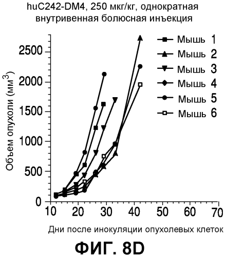 Применения иммуноконъюгатов, мишенью которых является cd138 (патент 2561041)