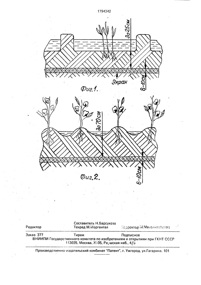 Способ обработки почвы (патент 1794342)