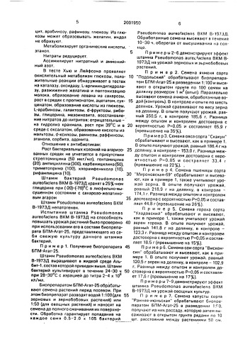 Штамм бактерий pseudomonas aureofaciens для получения стимулятора роста растений (патент 2001950)