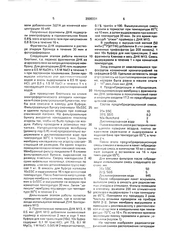 Способ выявления микобактерий (патент 2000331)