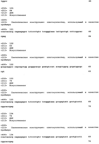 Экспрессия множества генов, включая sorf-конструкции, и способы экспрессирования иммуноглобулина (патент 2478709)