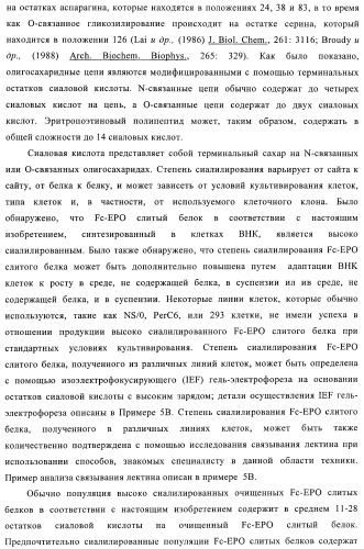 Fc-эритропоэтин слитый белок с улучшенной фармакокинетикой (патент 2370276)
