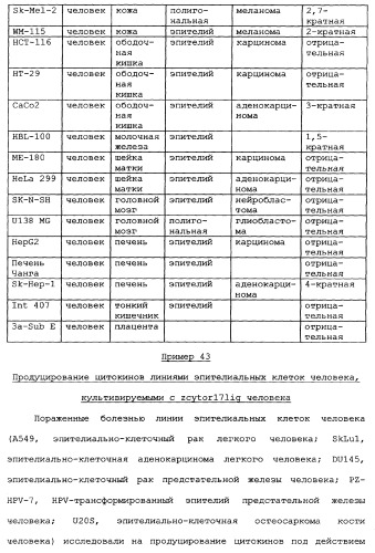 Новый лиганд рецептора цитокина zcytor17 (патент 2360923)