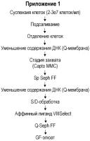 Способ очистки фактора свертывания крови viii Способ очистки фактора свертывания крови viii