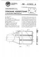 Ласт Ласт