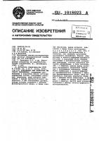 Устройство для измерения высокого напряжения Устройство для измерения высокого напряжения