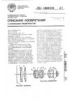 Панкратическая оборачивающая система Панкратическая оборачивающая система