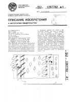 Способ разработки лесосеки Способ разработки лесосеки