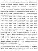 Иммуномодуляторные стероиды Иммуномодуляторные стероиды