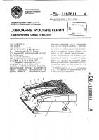 Вибропитатель для преобразования потока изделий в ряды Вибропитатель для преобразования потока изделий в ряды