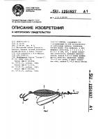 Блесна Блесна