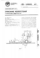 Устройство для обрезки плетей бахчевых культур Устройство для обрезки плетей бахчевых культур