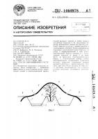 Способ выращивания растений Способ выращивания растений