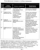 Способ и система определения площади и степени поражения пациента и оказания первой помощи при ожогах посредством видимого спектра света и ультразвука Способ и система определения площади и степени поражения пациента и оказания первой помощи при ожогах посредством видимого спектра света и ультразвука