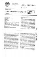 Изделие для курения (его варианты) Изделие для курения (его варианты)