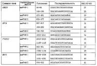 Ген, вовлеченный в иммортализацию раковой клетки человека, и его применение Ген, вовлеченный в иммортализацию раковой клетки человека, и его применение