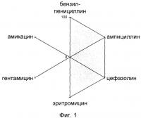 Способ выявления госпитальных штаммов Способ выявления госпитальных штаммов