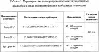 Набор олигонуклеотидных праймеров и флуоресцентно-меченого зонда для идентификации burkholderia pseudomallei Набор олигонуклеотидных праймеров и флуоресцентно-меченого зонда для идентификации burkholderia pseudomallei