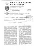 Способ выращивания саженцев плодовыхкультур и винограда Способ выращивания саженцев плодовыхкультур и винограда