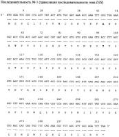 Способ получения иммуногенной композиции на основе трех гибридных белков оболочки вируса клещевого энцефалита, определяющих принадлежность к сибирскому (dbd2-d3s), европейскому (dbd2-d3e) и дальневосточному (dbd2-d3d) подтипам вируса; рекомбинантные плазмиды pdbd2-d3s, pdbd2-d3e и pdbd2-d3d; штаммы-продуценты escherichia coli m15 [prep4]; химерные белки и их применение