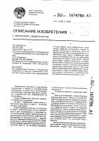 Кошки Кошки