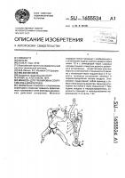 Манекен для тренировки спортсменов-единоборцев Манекен для тренировки спортсменов-единоборцев