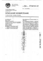 Скважинное фиксирующее устройство Скважинное фиксирующее устройство