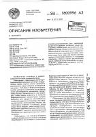 Способ капсулирования Способ капсулирования