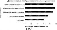 Новая синергическая фармацевтическая композиция для топического нанесения Новая синергическая фармацевтическая композиция для топического нанесения
