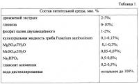 Биотехнологический способ получения молочной кислоты Биотехнологический способ получения молочной кислоты